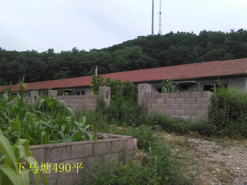 6̖  �Ϸ҅^(q��)���R���(zh��n)�̼Ҵ巿�a(ch��n)